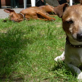 Spikey en Zohra
