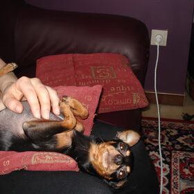 relax