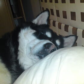 lekker slapen op bed