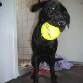 Balbalbal!!!