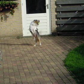 Tja wat moet ik hier nog over zeggen... Hahaha!