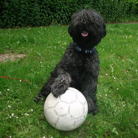 bounty met de bal