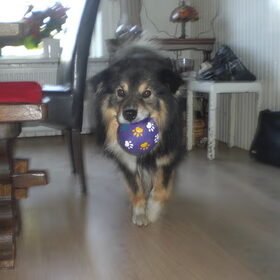 Geen titel