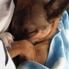 Lief!