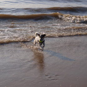 Op het strand.
