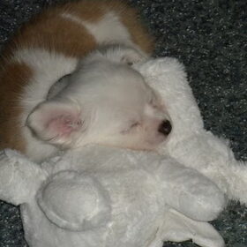 ons lieverdje