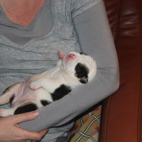 18 dagen oud!