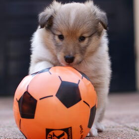 axell aan de bal.. :D