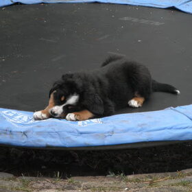 slapen op de trampoline