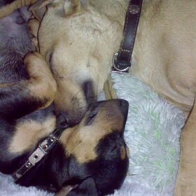 Samen slapen....