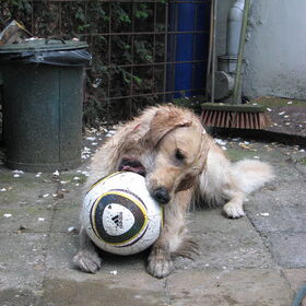 Hou vast die bal!