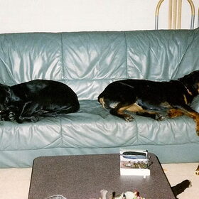 If you want the best seat in the house, you have to move…