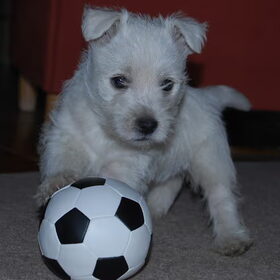 Amy met een voetbal.