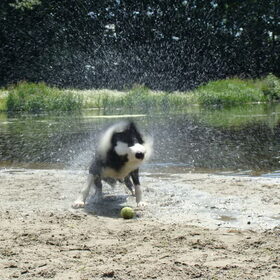 zweemen met de bal