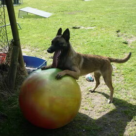 Ilisha met haar bal