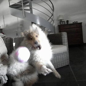 Cooper de keeper