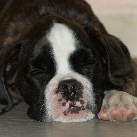 Geen titel