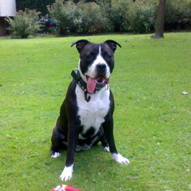 Missy