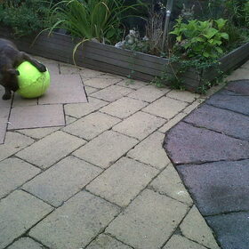 Ookal is de bal groter