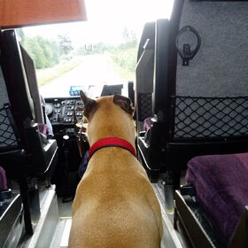 Lekker meerijden in de Noorse bus, oeff wat een bochten!
