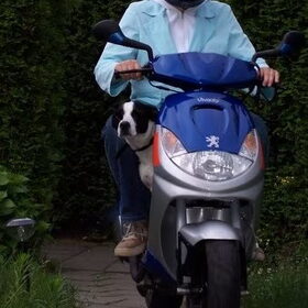 Op de scooter naar het bos!