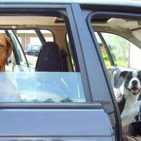 Spike en Rebbel in de auto...