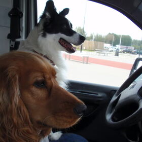 Tara en Spooky voorin..wij achterin!