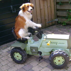Sil op de trekker....