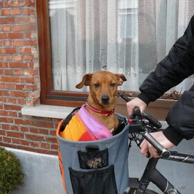 mee met de fiets