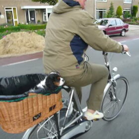 Geen titel