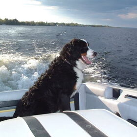 VIP in de boot
