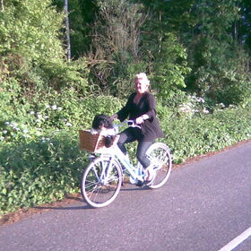 Heerlijk hangen In de fietsmand!!!!!!!