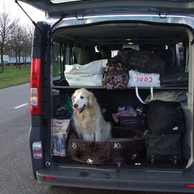 Remi in de kofferbak!