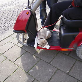ja lekker handig