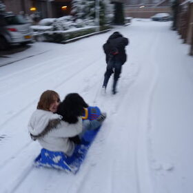 Koda op de Slee