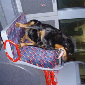 Met de bus mee