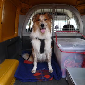 Mambo in de Caddy!