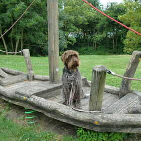 bootje varen...