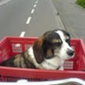 charley met mee de fiets