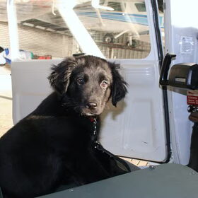 Cessna in een Cessna