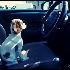 Start de auto maar!