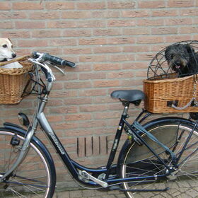 Geen titel