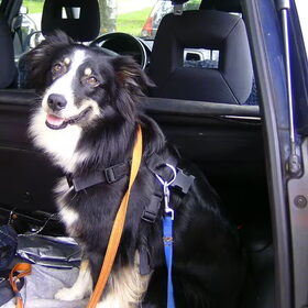 Na behendigheidsles in de auto