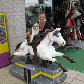 Storm is zelfs dol op paardjes