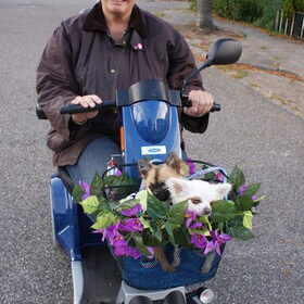 Samen op pad