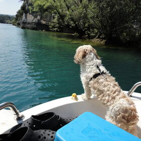 pluchke op/in de pedalo
