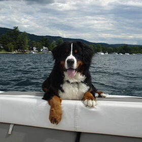 Mac varen