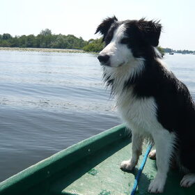 Loosdrechte plassen
