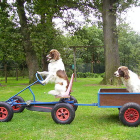 Hollands Skelter Rijden