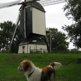 storm bij een molen